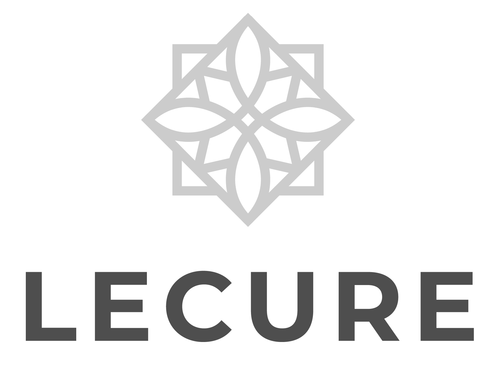Lecure